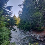 3. Colonia Suiza & Circuito Chico: the practice ride