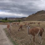 17. Parque National Patagonia