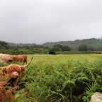 11. Oban, Islay & Arran